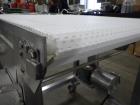 Bogner Industries Transfer Conveyor